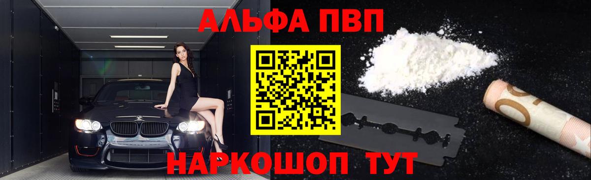 Alfa_PVP СК Мытищи