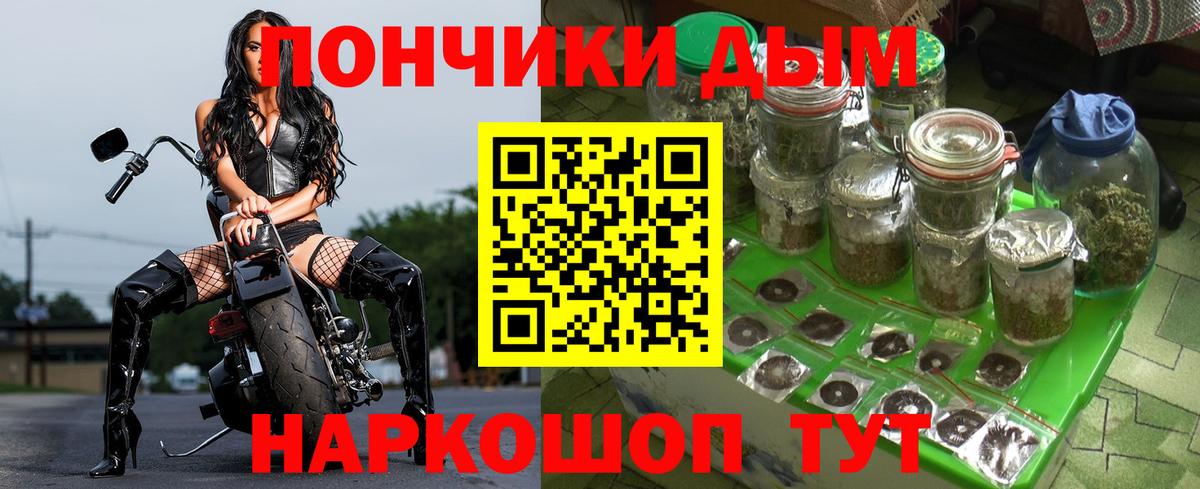 Канабис сатива Мытищи
